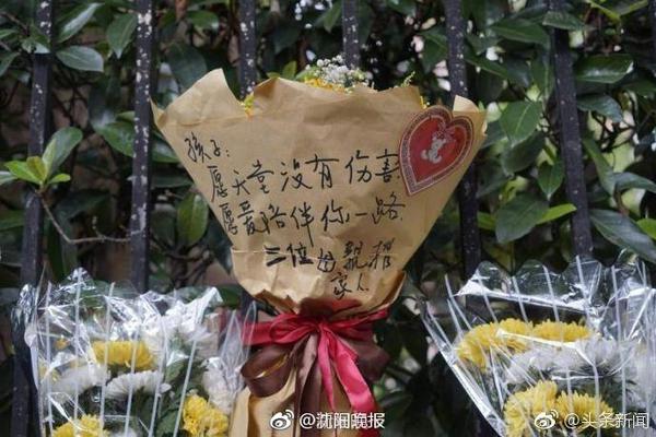 德拉普：加盟切尔西只因跟随了直觉，能踢欧冠是其中一个因素